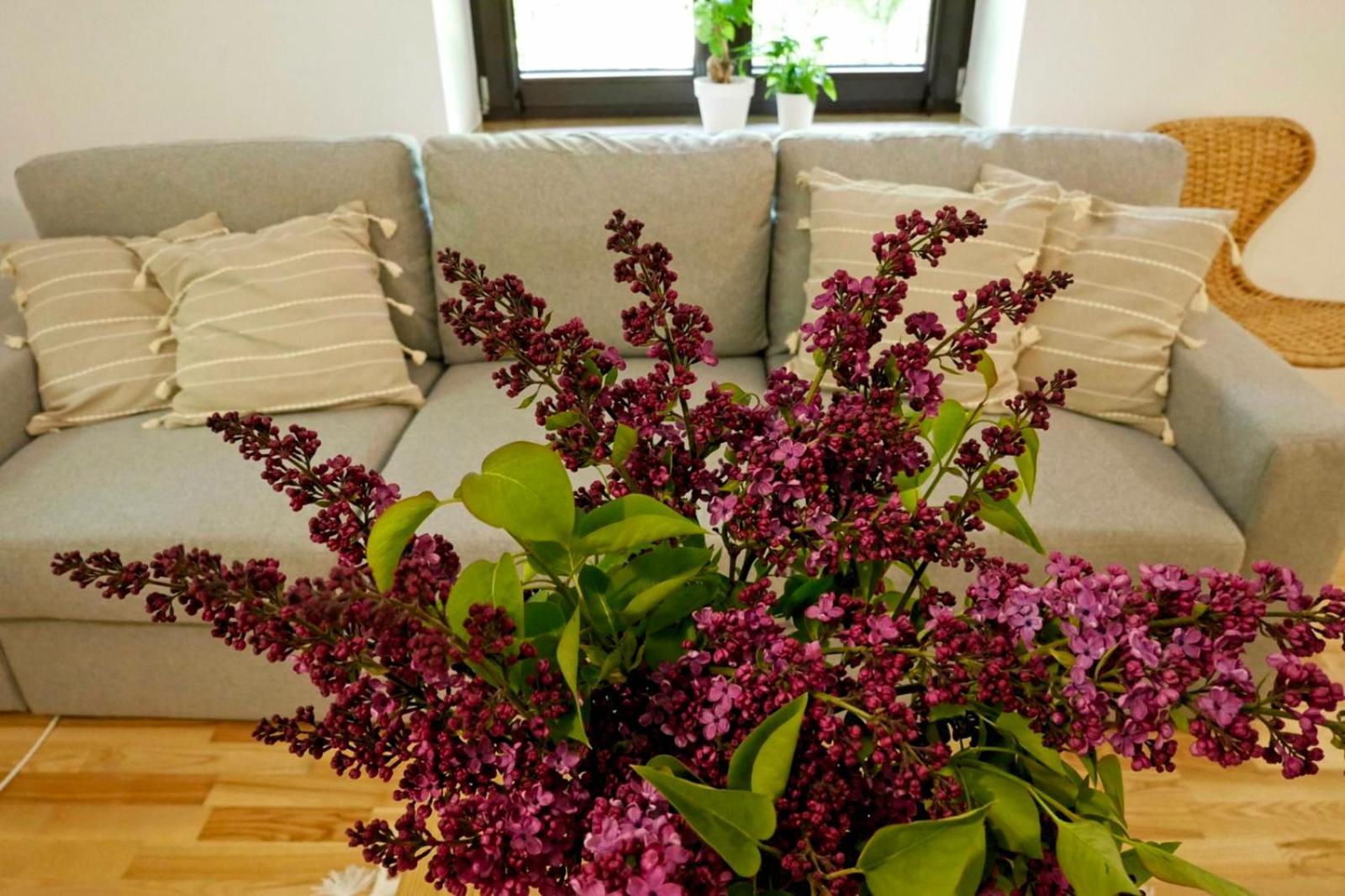 Lesne Echo Holiday home *